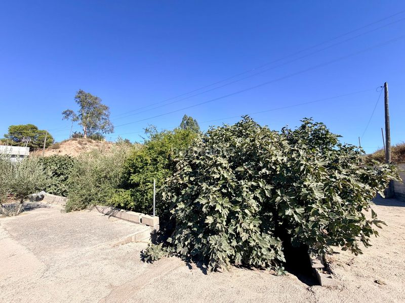 Foto 5fdd8ed4-bec2-4251-8ae3-4a44b8bcd5ba. Masía cortijo reformado con construcción legalizada y 2.590 m2 de parcela, a 10 min de almería en Pechina