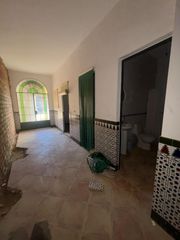Maison à El Rocío. Vivienda en el rocío