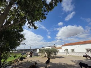 Masia  Avenida santa ana. Maison ou maison individuelle à vendre - avenida santa ana
