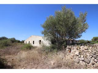 Local commercial à Alaior Poble. Agricultura en menorca, finca agrícolaganadera. alayor. menorca.