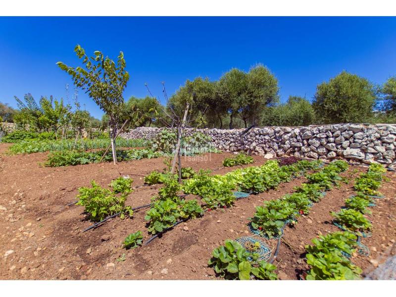 Foto 29e3849c-cc4c-40f4-af67-46f136eedd67. Xalet amb calefacció aparcament piscina a Sant Lluís-s´ullestrar-torret Sant Lluís