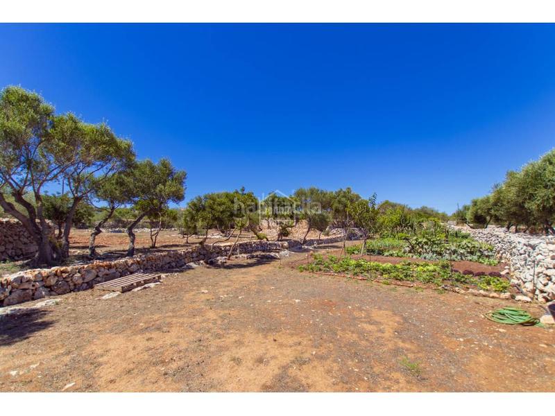 Foto ae039f6a-8e24-4855-b780-749ceab31e84. Xalet amb calefacció aparcament piscina a Sant Lluís-s´ullestrar-torret Sant Lluís