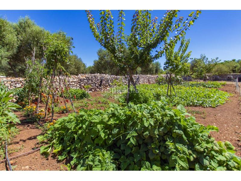 Foto c317908e-2644-416e-9f7b-eb856699827f. Xalet amb calefacció aparcament piscina a Sant Lluís-s´ullestrar-torret Sant Lluís