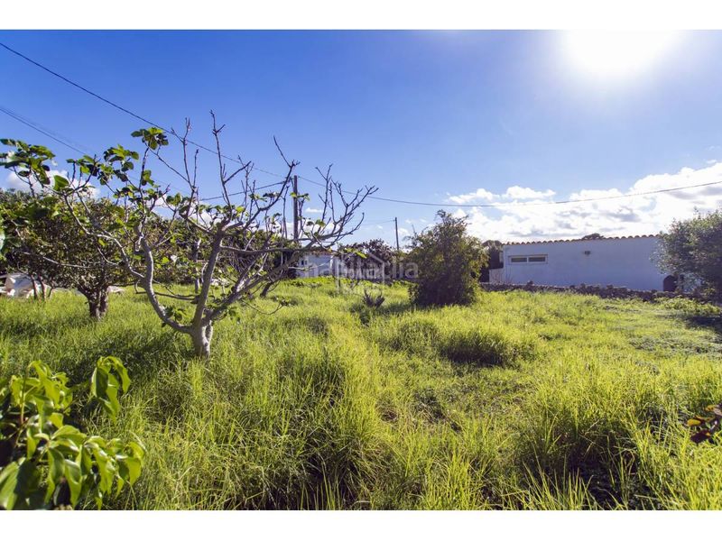 Foto 81bafca7-413d-45e3-9646-1917eb48aeae. Chalet impresionante villa con licencia turística y vistas privilegiadas al mar, calan porter, menorca en Alaior