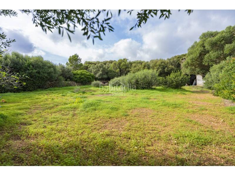 Foto 093d2992-8284-442e-8c1c-86aec051b0ee. Xalet a S´Algar-Alcalfar Sant Lluís