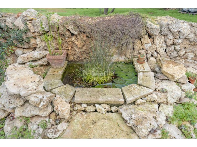 Foto 10280024-0690-402e-b80f-fb4de08e022a. Xalet a S´Algar-Alcalfar Sant Lluís