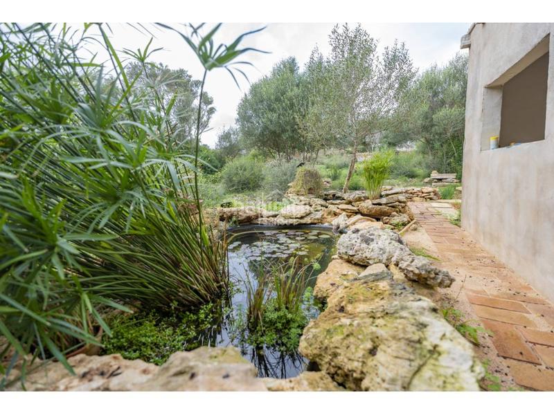 Foto 1bdd4caf-5fdb-4c2c-9f87-8b98c461e287. Xalet a S´Algar-Alcalfar Sant Lluís