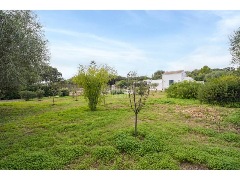 Foto 8702d6d9-a821-4eb9-8a94-47ef7fa02fab. Xalet a S´Algar-Alcalfar Sant Lluís