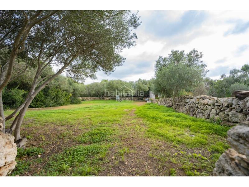 Foto c7384495-447e-49cb-95a9-9ec7fd5acb85. Xalet a S´Algar-Alcalfar Sant Lluís