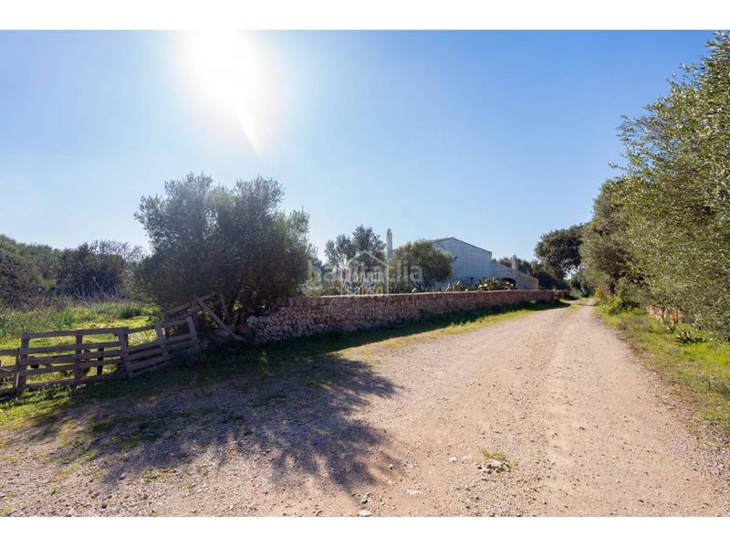 Foto 1fd361d2-db99-4ab4-89a9-d3b0ac107950. Bauernhof in Sant Climent-Es Canutells Maó