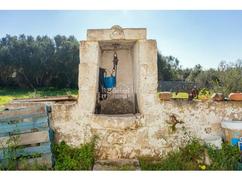 Foto d81050f8-fd36-4d2c-88e8-12ebae271190. Bauernhof in Sant Climent-Es Canutells Maó