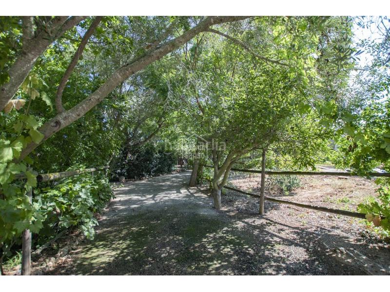 Foto e64936f1-3d1c-41ce-bd32-236c66eac17c. Casale con parcheggio piscina in Llucmaçanes Maó