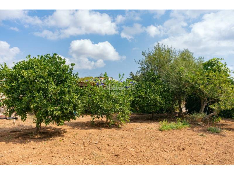 Foto cee959a0-ae17-4061-b597-3ab432f0ed8c. Mas avec chauffage parking piscine dans Sant Lluís-s´ullestrar-torret Sant Lluís