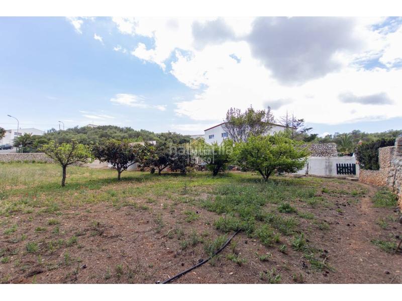 Foto ea5cdfe7-2c1f-4933-a1a2-7210796a4e41. Masia amb aparcament piscina a Son Vilar-Trepucó Es Castell