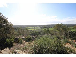 Xalet a Es Grau-Serra Morena. Haz realidad el sueño de construir tu propia villa en menorca!