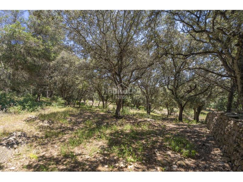 Foto 1c0e32d4-a6d3-48ce-8de7-cf956b2e816c. Mas avec parking dans Es Mercadal poble Es Mercadal