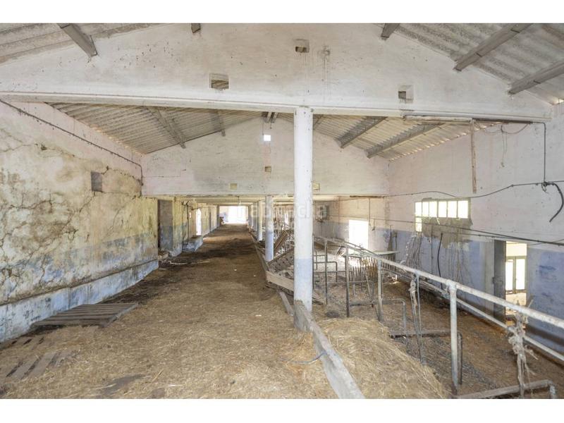 Foto 757cb43f-5c34-4ae4-aefb-560741e0e66b. Mas avec parking dans Es Mercadal poble Es Mercadal