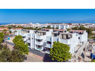 Xalet a Ciutadella. Promoción de 28 viviendas pareadas en ciutadella,menorca