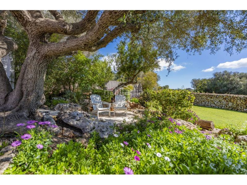 Foto fdf9d505-47a0-49ae-b4b6-d253263fce60. Xalet amb calefacció aparcament piscina a Sant Climent-Es Canutells Maó / Mahón