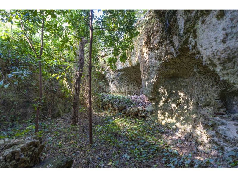 Foto df4ff77f-bb8a-48ee-95b9-7414532d6779. Masia amb aparcament piscina a Llucmaçanes Maó / Mahón