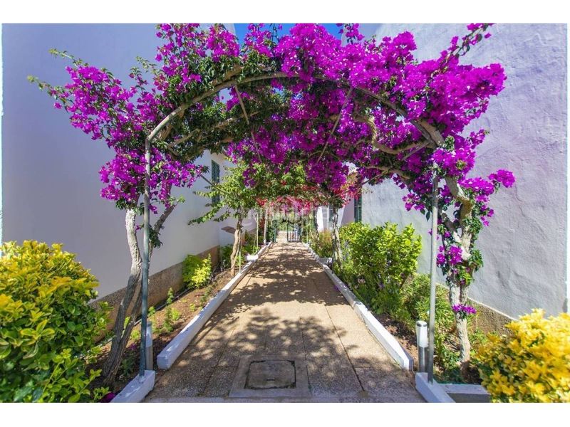 Foto 5f4545ee-8a43-4eb2-b12d-9ee9c344b4d8. Apartament amb aparcament piscina a Son Parc Es Mercadal