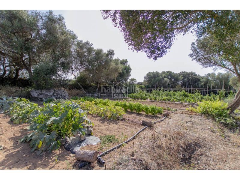 Foto d5ff23c3-d538-4009-ab0d-0e2c3bc1356a. Xalet amb calefacció aparcament piscina a Alaior poble Alaior
