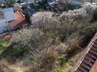 Terrain résidentiel à Urbanitzacions. Ubicado en una de las zonas más exclusivas de mataró, la prestig