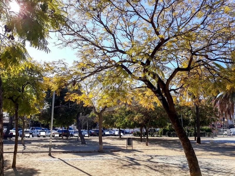 Foto 834f963a-b91a-4c36-ace7-4a12f648abcf. Terreno residenziale in Cerdanyola Sud Mataró