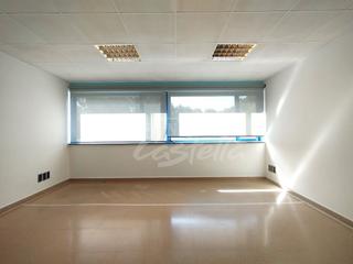 Rent Office space in Pla d'en Boet. Oficina situada en la zona pla den boet el rengle. consta de 27