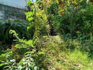 Residential Plot in Centre. En exclusivaatención inversores y amantes del buen gusto arquite