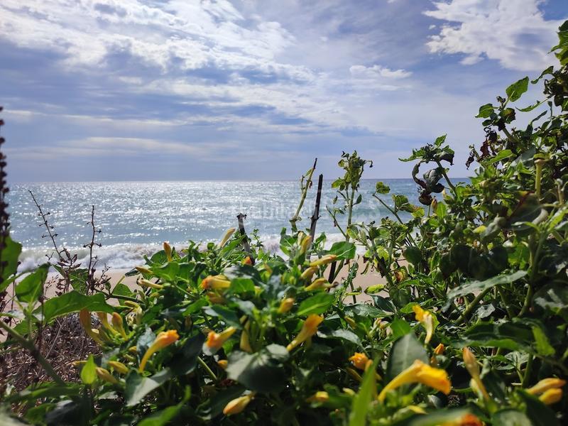 Foto 5f89085e-7216-43b2-bef7-64f9c6107eae. Rent flat with heating parking pool in Victoria-Les Vil·les-Canyadell Arenys de Mar