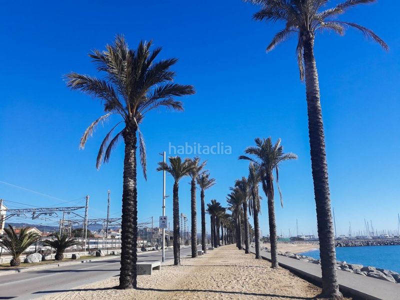 Foto 53e8b3ed-9395-47aa-94de-53447144fb01. Pis a Havana Mataró