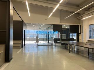 Affitto Capannone industriale in El Remei