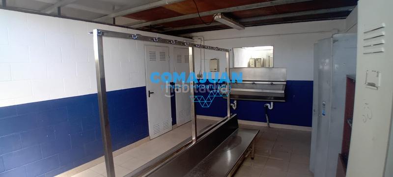 Foto dee065be-2e25-47a1-872b-658bf91ab610. Rent industrial building in Niàgara Parc -Àgora Parc Tordera