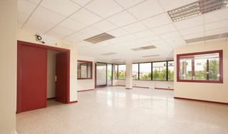 Miete Büro in De las palmeras 6