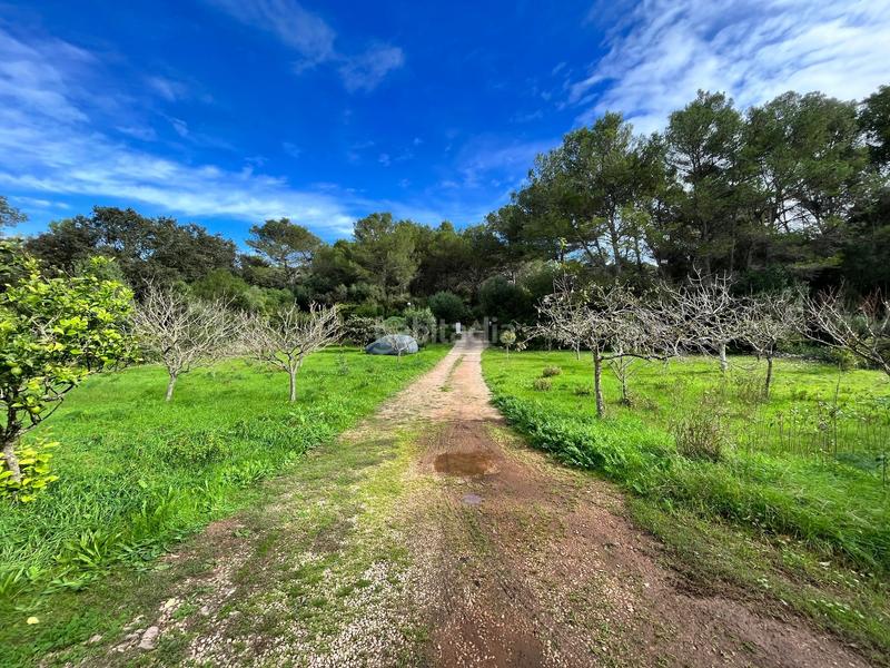 Foto 4553feff-ef20-4cea-abd0-5245fb655210. Casale con riscaldamento piscina in Es Mercadal poble Es Mercadal