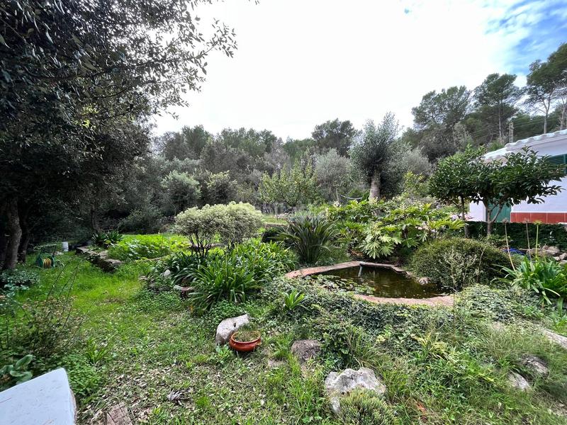 Foto 75ad2e93-31d6-4ee0-8186-d0bac6375713. Casale con riscaldamento piscina in Es Mercadal poble Es Mercadal