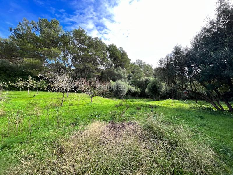 Foto a7cf3a65-4806-4ea3-bd4d-aa3e0433adbb. Casale con riscaldamento piscina in Es Mercadal poble Es Mercadal