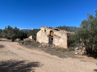 Country house  Pas de berenguer pol. 20 parcela 58. Se vende finca rstica de olivos