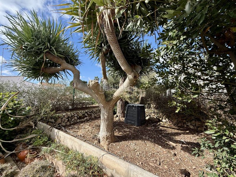 Foto e7bc2284-0ad3-461a-a9e4-b6578e11de2f. Casa a Son Vilar-Trepucó Es Castell