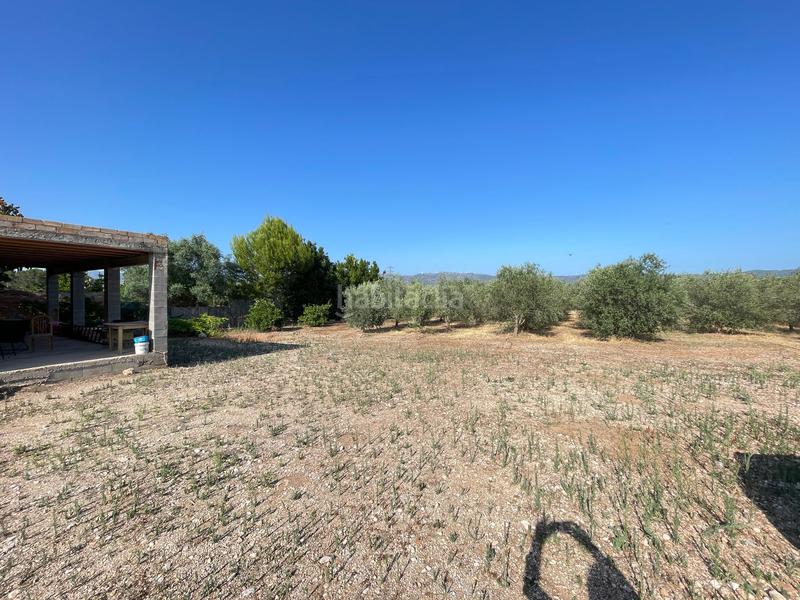 Foto 1fe53569-3b4d-462a-9d17-254c7ed48830. Maison avec piscine dans Jesús - Els Reguers Tortosa