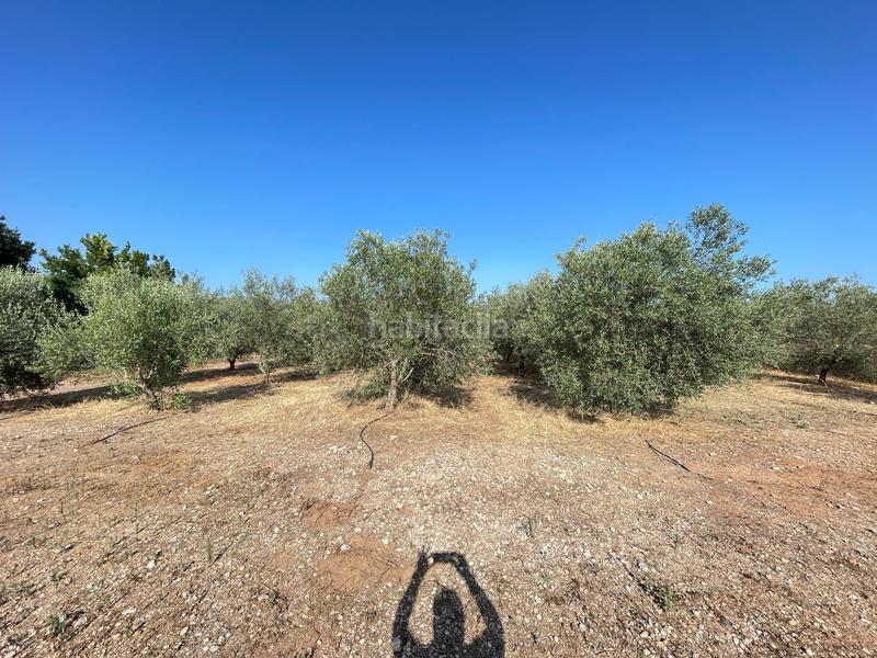 Foto 201c7fda-d578-42b7-af1d-84b02f3d59ad. Maison avec piscine dans Jesús - Els Reguers Tortosa