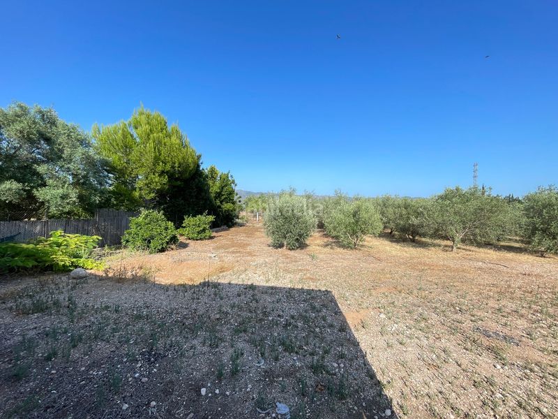 Foto dc2d2f9b-d5a5-46f1-a8a9-57013ddfa4b1. Casa amb piscina a Jesús - Els Reguers Tortosa