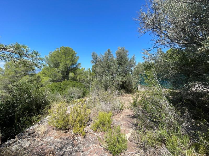 Foto 14dcc35c-45c9-44a4-82a1-5e8d785d219c. Residential plot in Urbanitzacions Tortosa