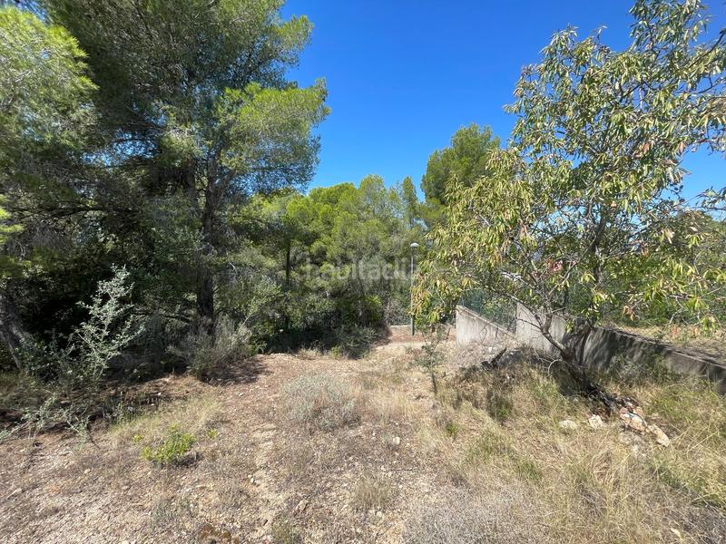 Foto 3b86b066-9d8e-4d73-b64c-a5069d3e2e81. Residential plot in Urbanitzacions Tortosa