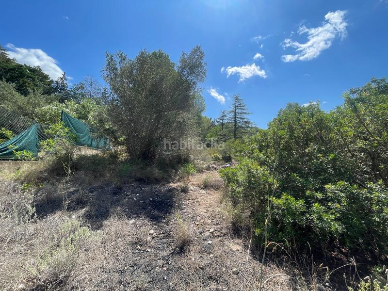 Foto c1c140e7-eba5-4e88-8ea8-91aea192a5ee. Residential plot in Urbanitzacions Tortosa