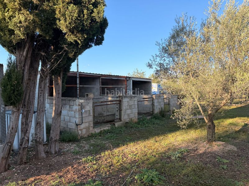 Foto c0b5cf1b-4b6b-4052-9f67-fa1969ff2a2c. Casa a sant francesc a Roquetes