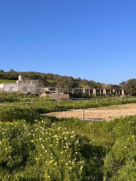 Foto 0d0359b1-ea48-4566-95fa-12668539ee36. Finca rústica a Son Bou-Sant Jaume Alaior