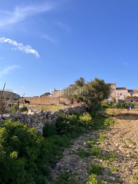 Foto 880fce59-724a-4336-b03f-abb9fe784b1f. Finca rústica a Son Bou-Sant Jaume Alaior