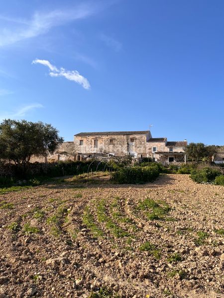 Foto 8dd903d3-f9fe-4545-9f72-cb617e014544. Finca rústica a Son Bou-Sant Jaume Alaior